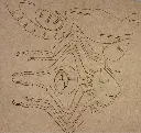 vlieg groot puzzel 1 van 2.webp
